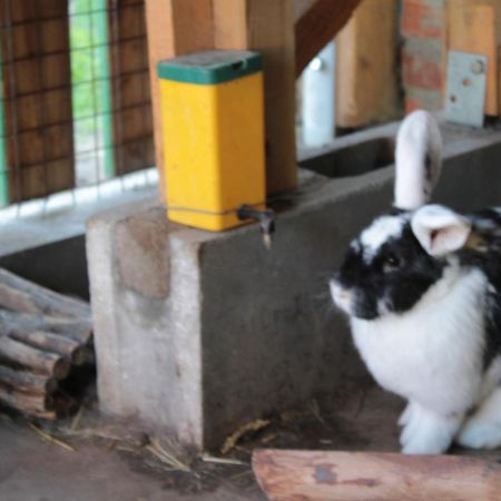 Dahmerhof Ngoại thất bức ảnh