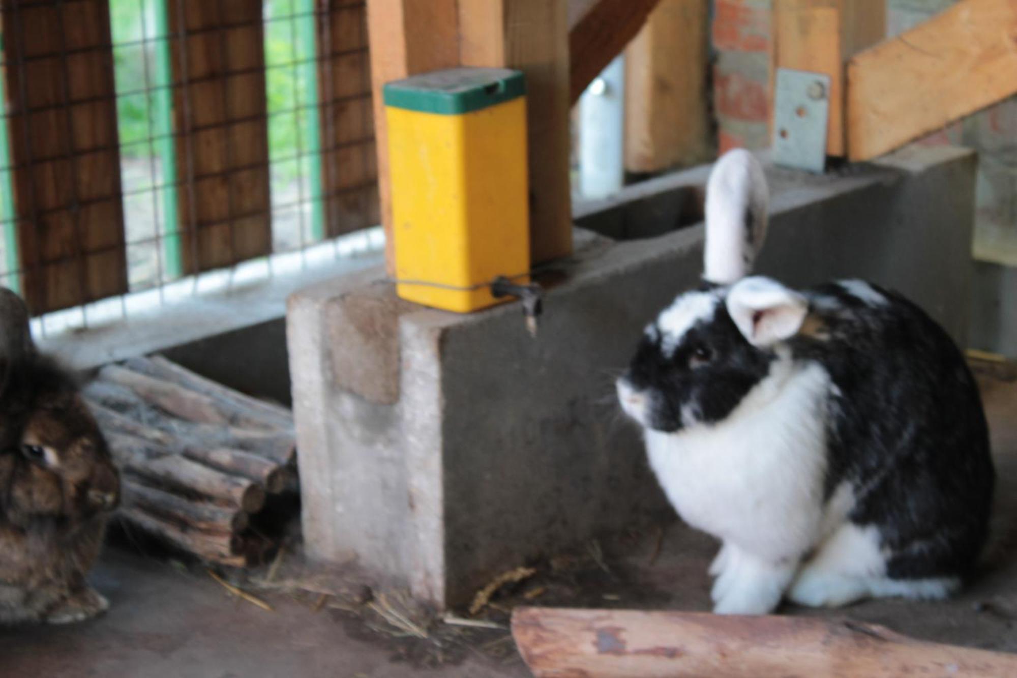 Dahmerhof Ngoại thất bức ảnh
